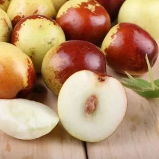 The Best Way to Preserve Food - Food Dehydrator, Small Size, White Color