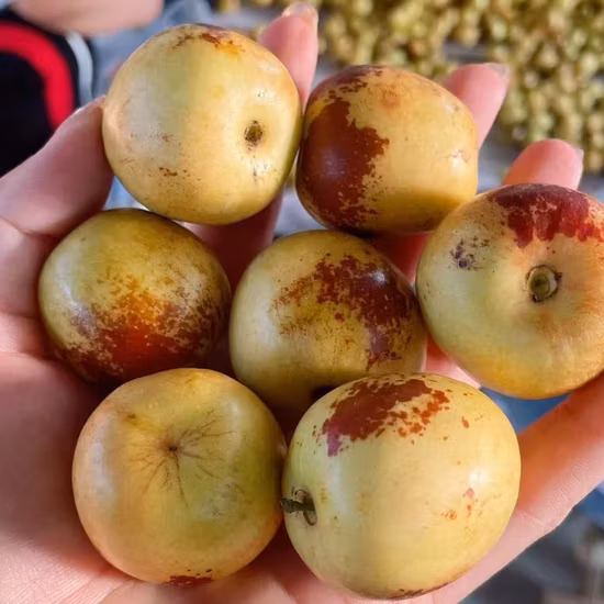 La mejor manera de conservar los alimentos