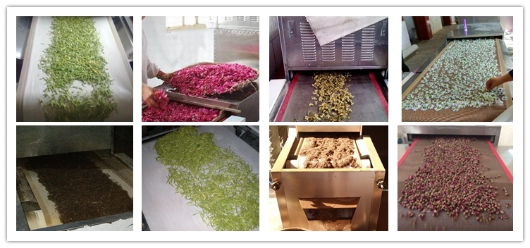 New Type Arrival Industrial Microwave Specice Herb Nut Dehydrator